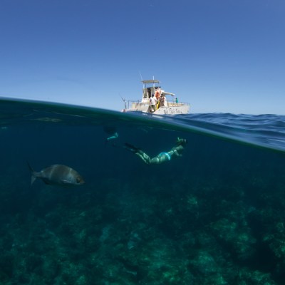 Underwater shot of girl swimming