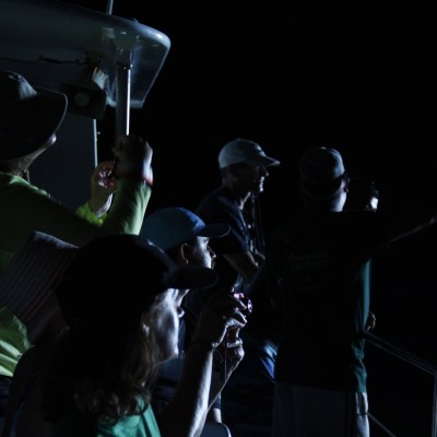 People taking pictures