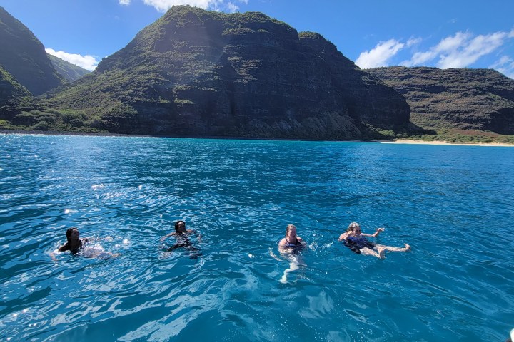 a group of people swimming in a body of water